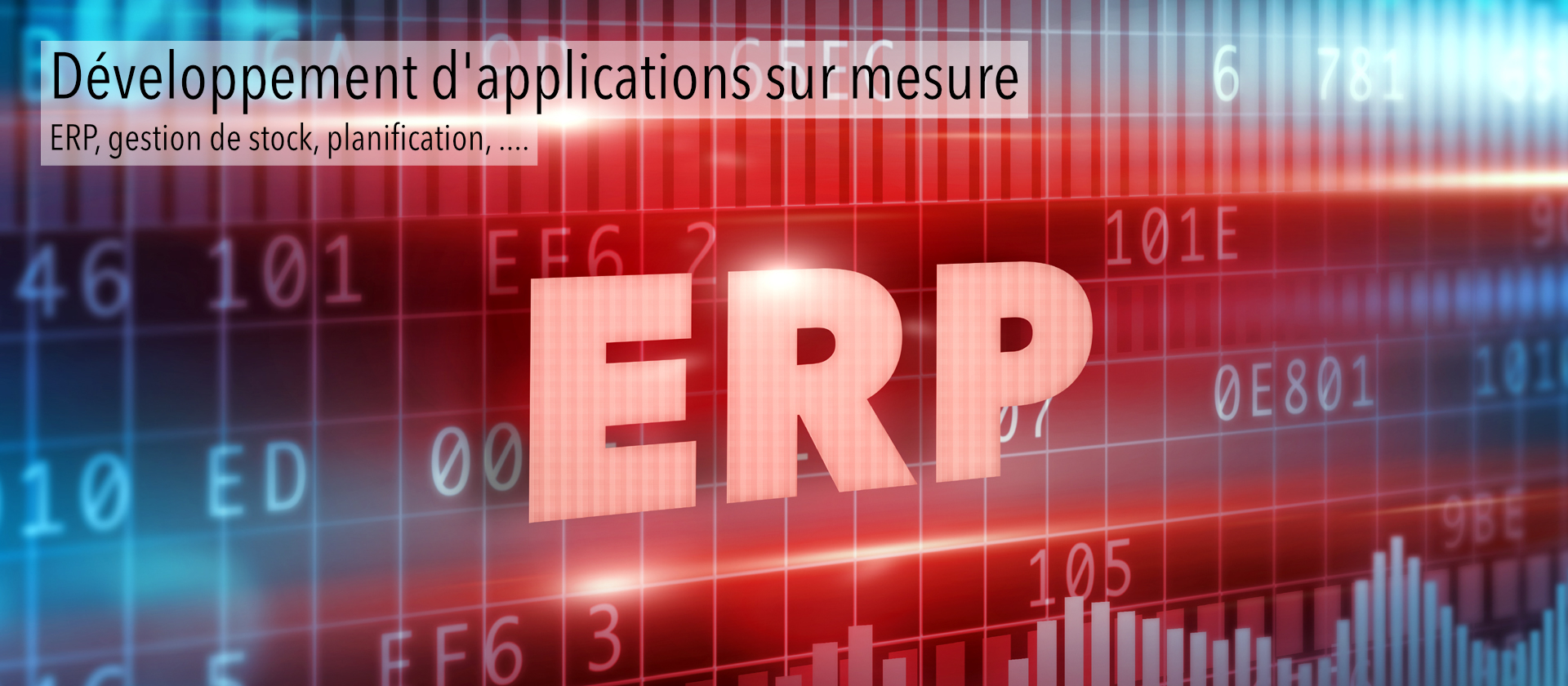 Dveloppement de logiciels de gestion sur mesure  Lige et partout en Wallonie